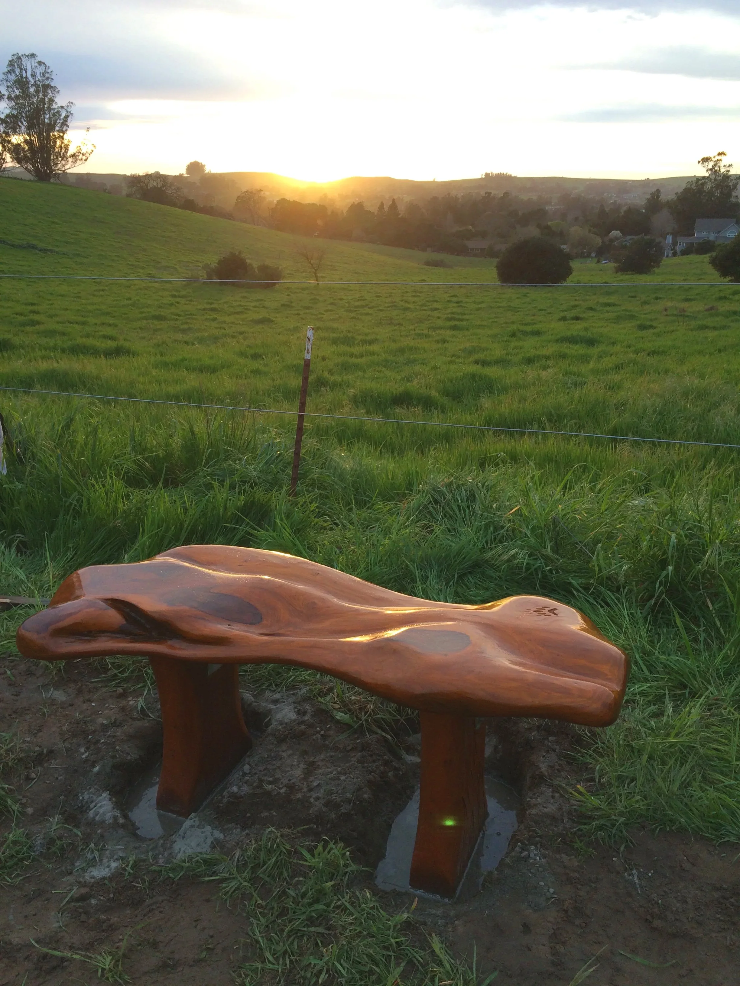 Sunset_Bench_PaulaLane.jpg