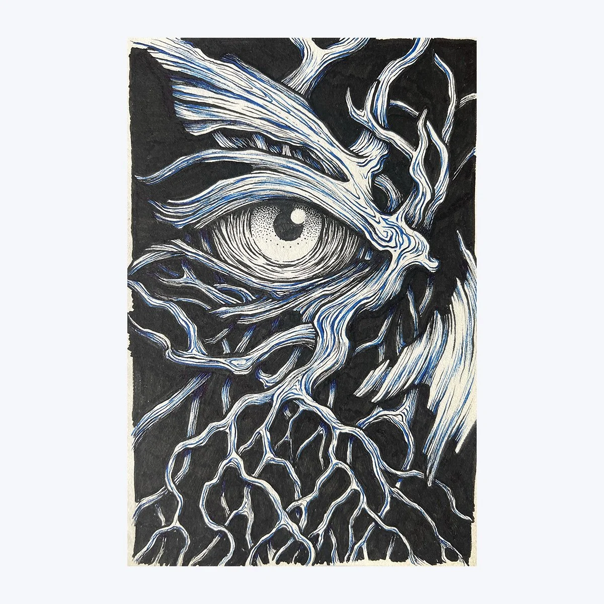 Eye