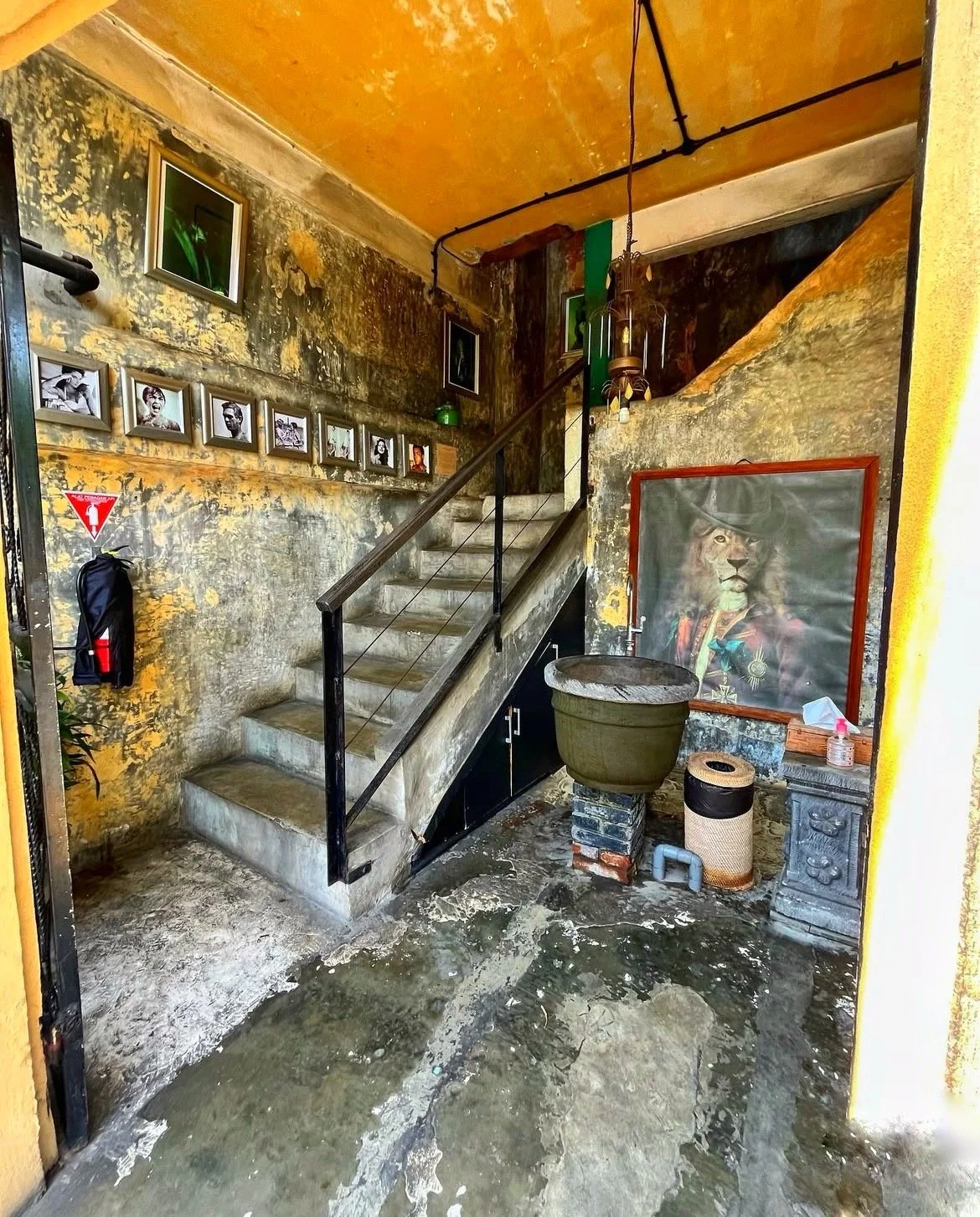 Lazy Cats Cafe - Ubud