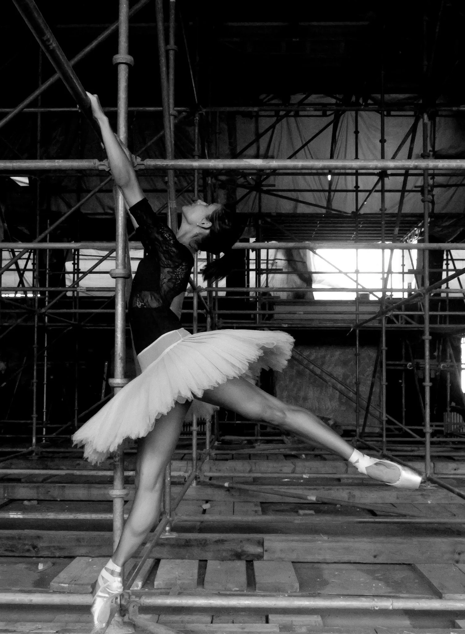 Pilates, Cadillac, Reformer, Mat Pilates, Props, Pilates Band, Pilates Ball, Online class, strength training, Pilates ring, Pilates trainer, ballet strength training