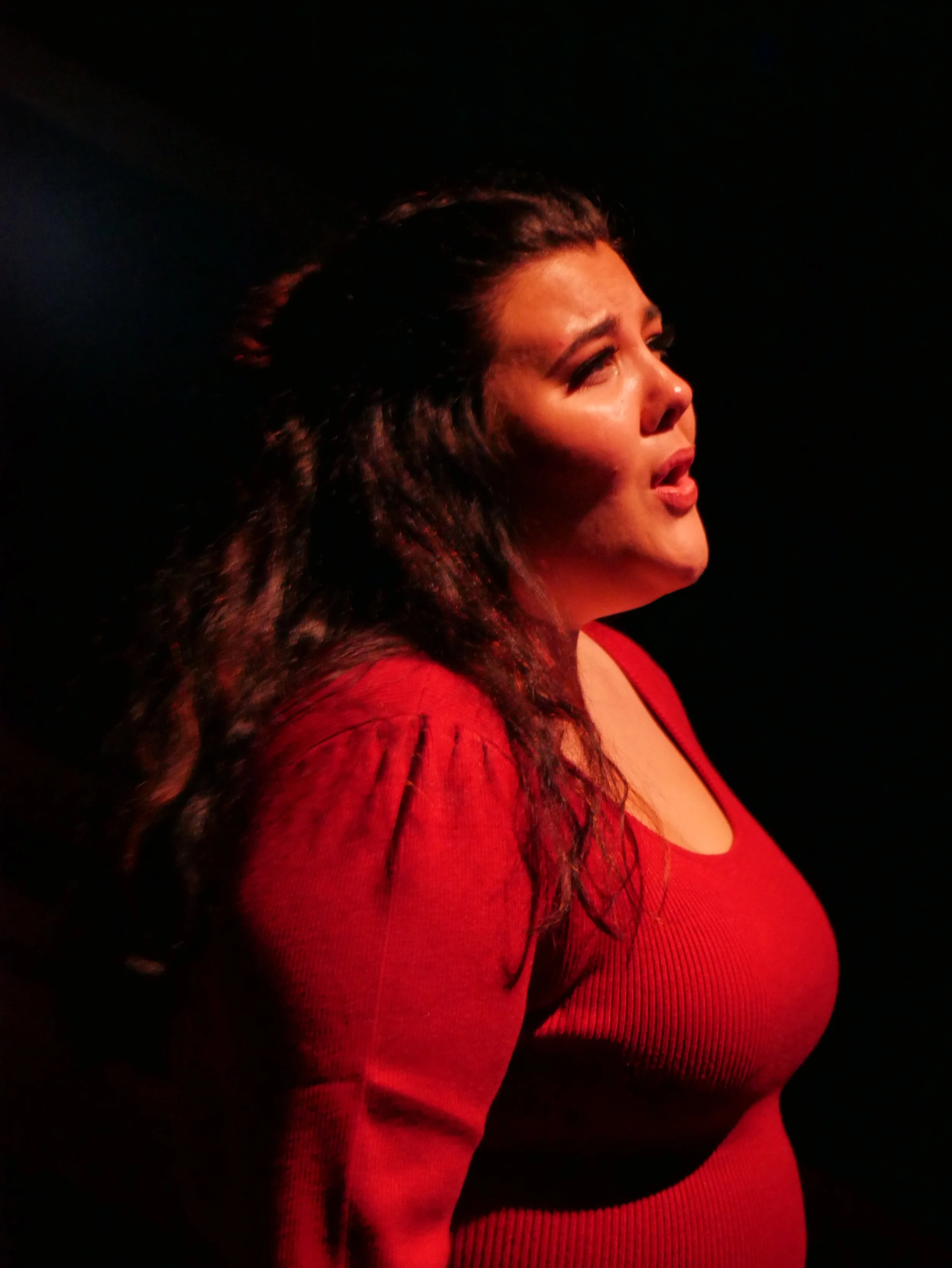 Next to Normal, 2025