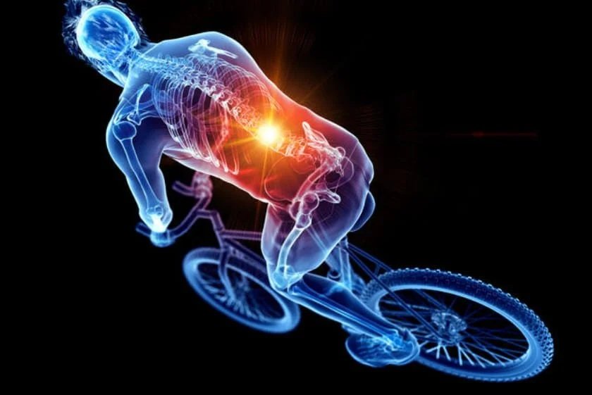 Why Your Back Is the Victim, Not the Problem