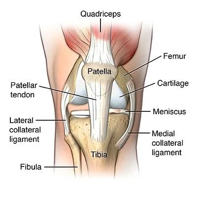Bike Fit for Knee Pain: Why Your Knees Hurt When Cycling