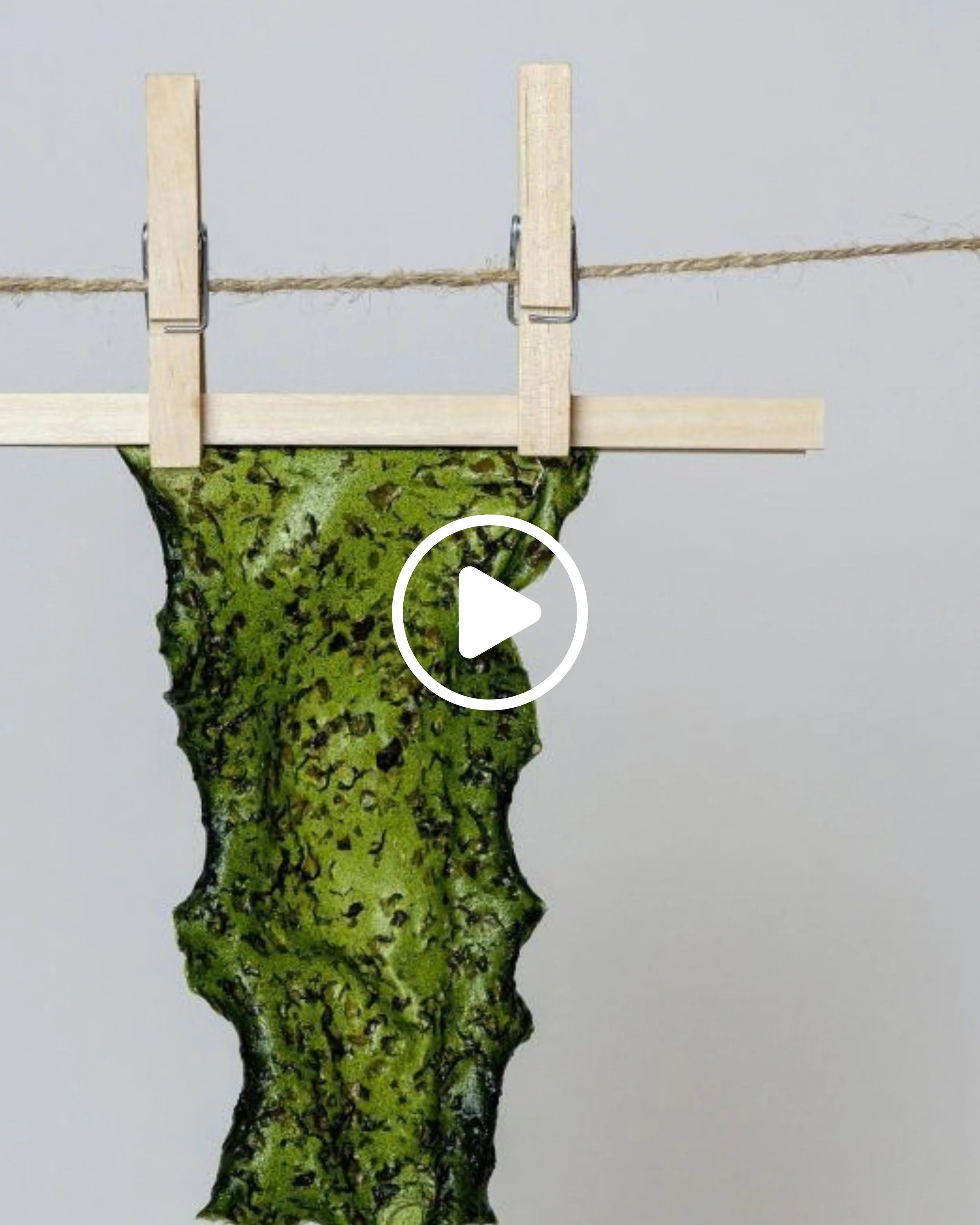 Event playback supporting Melbourne artist Spiraro and their biomaterials workshop at Shell Space, bringing seaweed into conversation with woven materials.