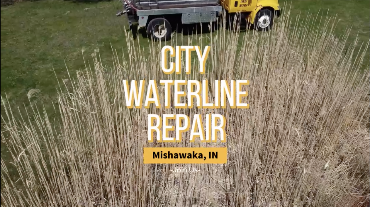 ASAP Poop Company - Graphic Designer/Social Media Manager