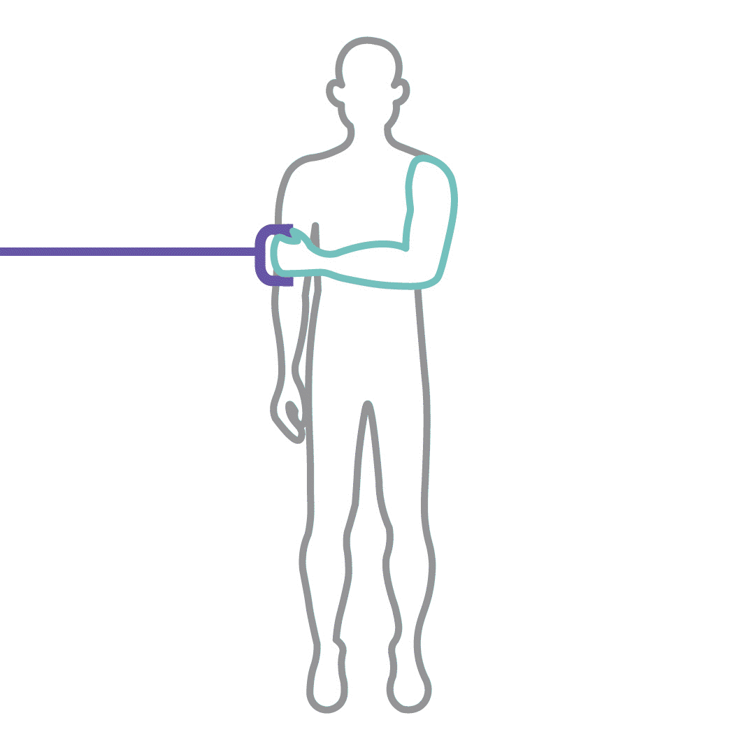 APP GIF (External Rotation)