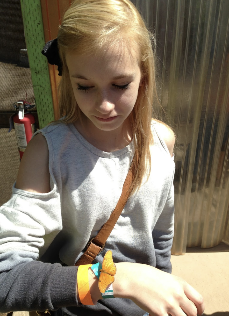 Screenshot 2026-03-11 at 2.32.58 PM.png