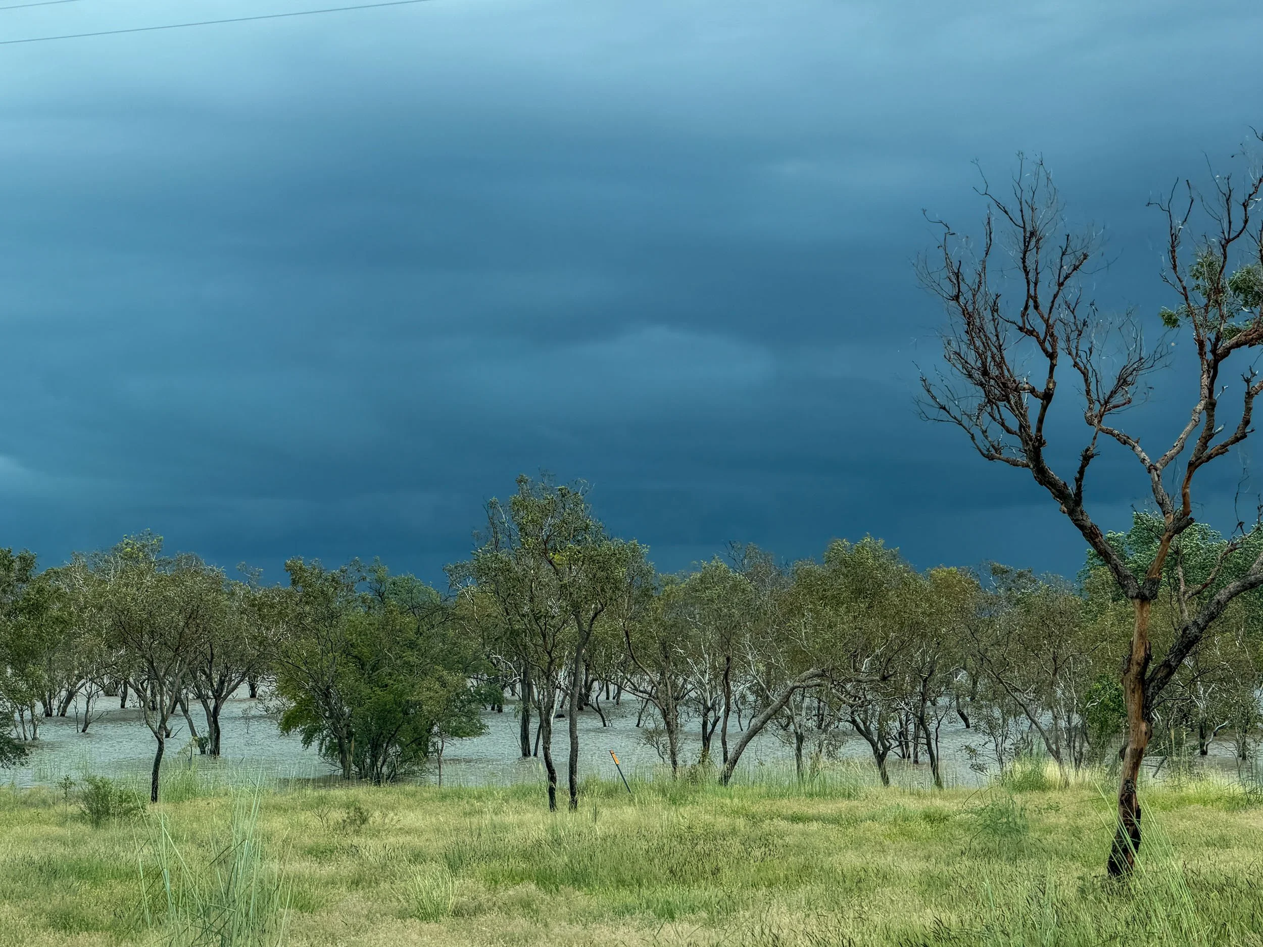 A landscape view on Country at Fitzroy Crossing shows flood water levels rising amongst trees and grasses beneath a stormy sky.