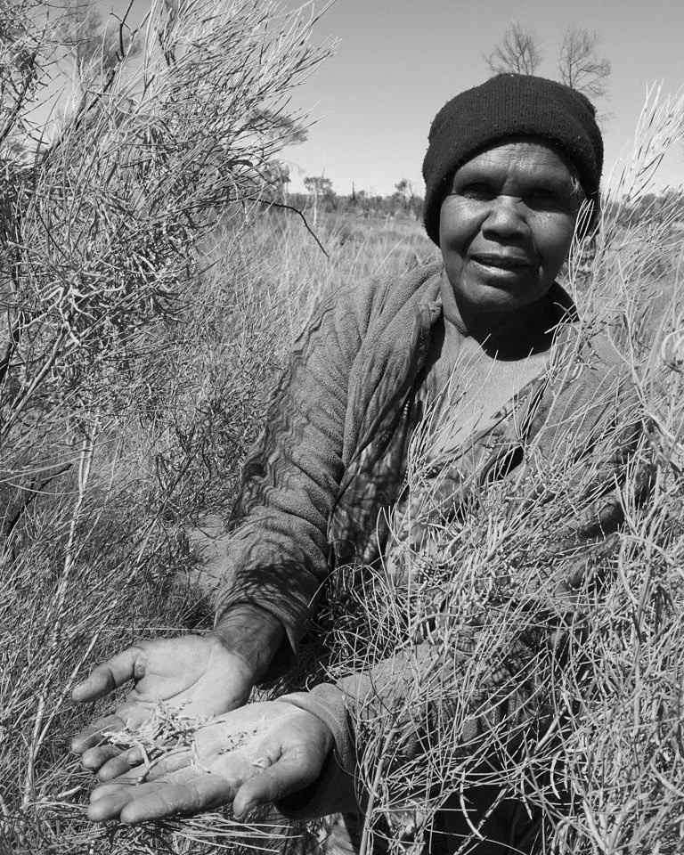 Black and white portrait of Indigenous woman in bushland with plants all around her, holding out her hands to show the seeds in them.