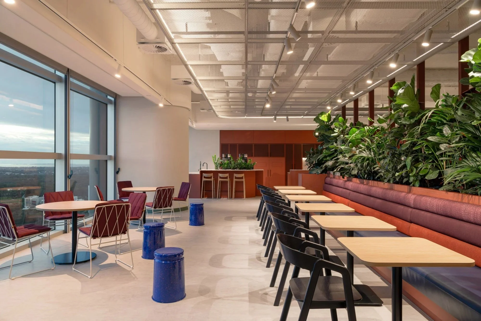 This modern office lounge features a variety of seating options, including printed banquette seating upholstered in burgundy and orange tones. The space also includes pops of colour with bright blue stools and lush indoor planting.