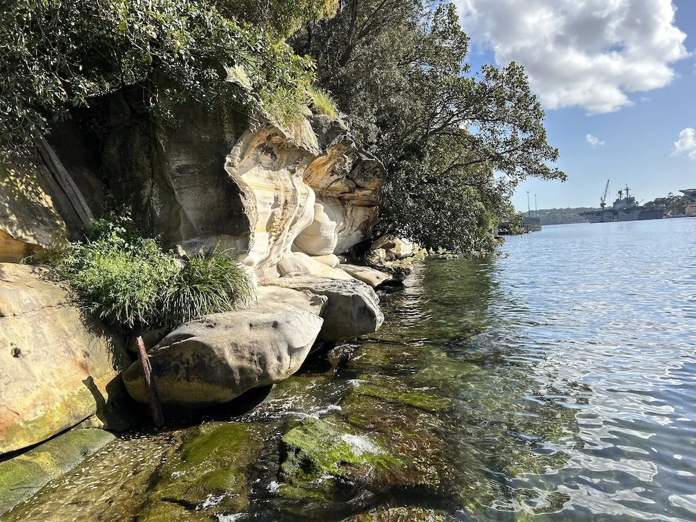 A rocky sandstone inlet on the edge of the harbour with shrubs and trees, on Gadigal Country, NSW.