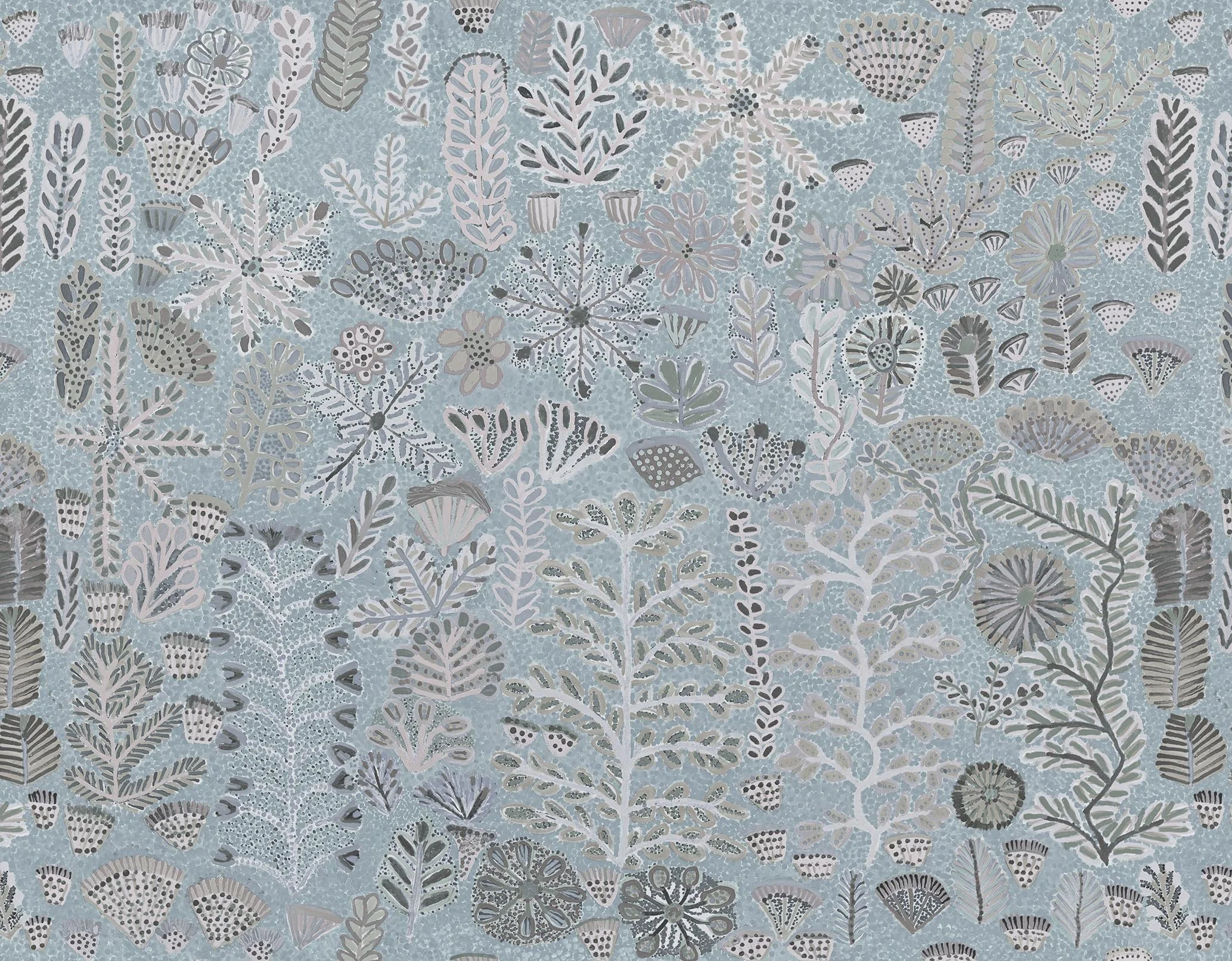 Sugarbag Dreaming 'Saltbush'