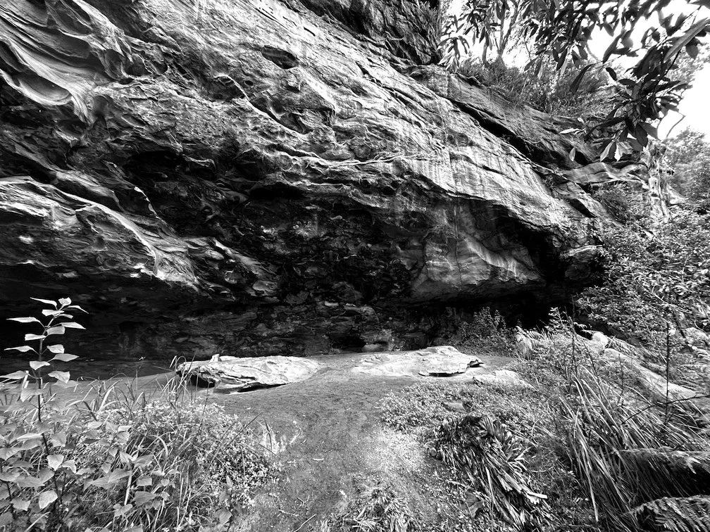 A black and white image at the base of a rocky cliff face surround by scrub, on Gadigal Country, NSW.