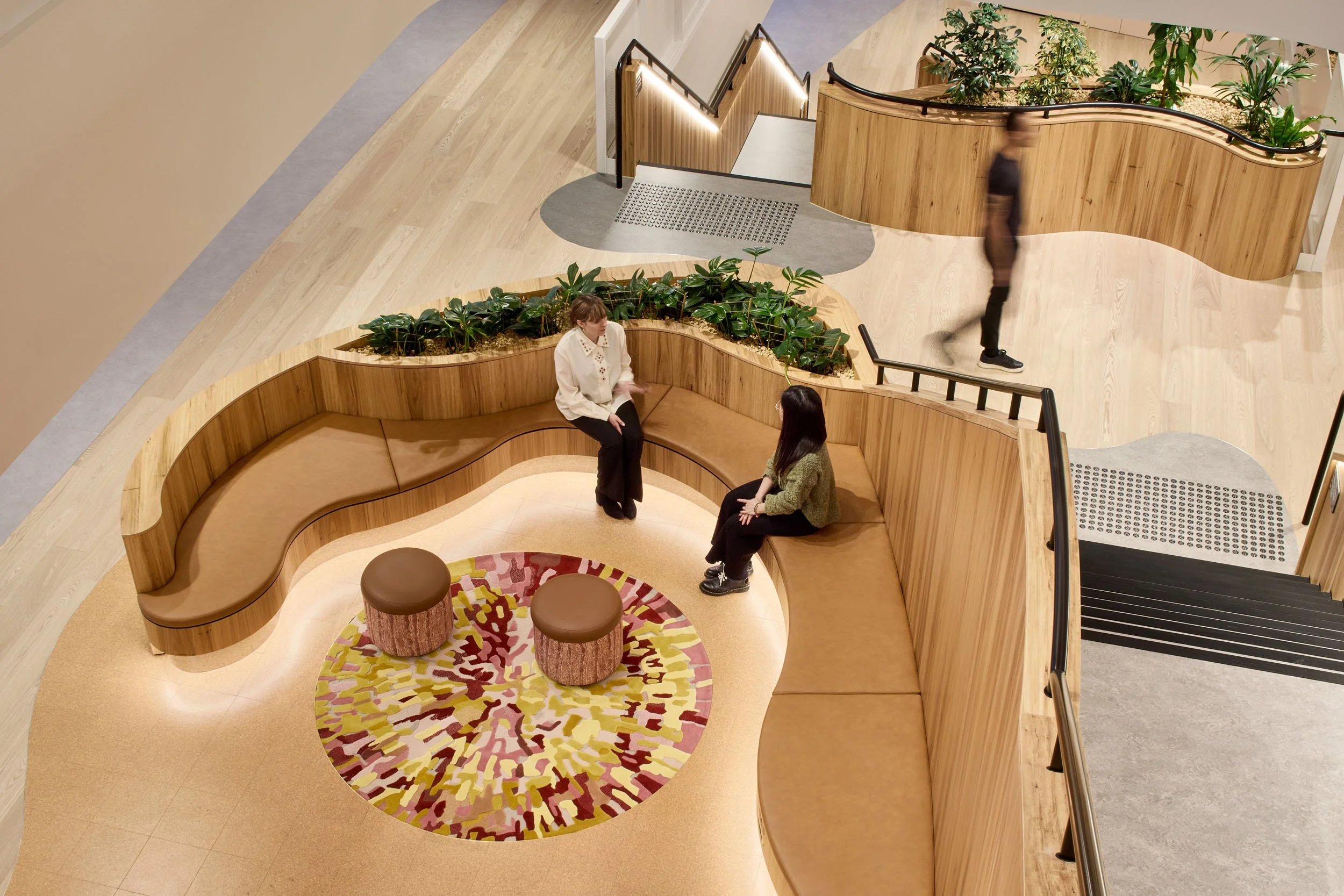 Looking down onto a break out area of the Medibank Melbourne office. Custom timber bench seating surrounded by indoor plants as well as a patterned circular rug and ottomans featuring a printed upholstery fabric in tones of red, peach and browns.