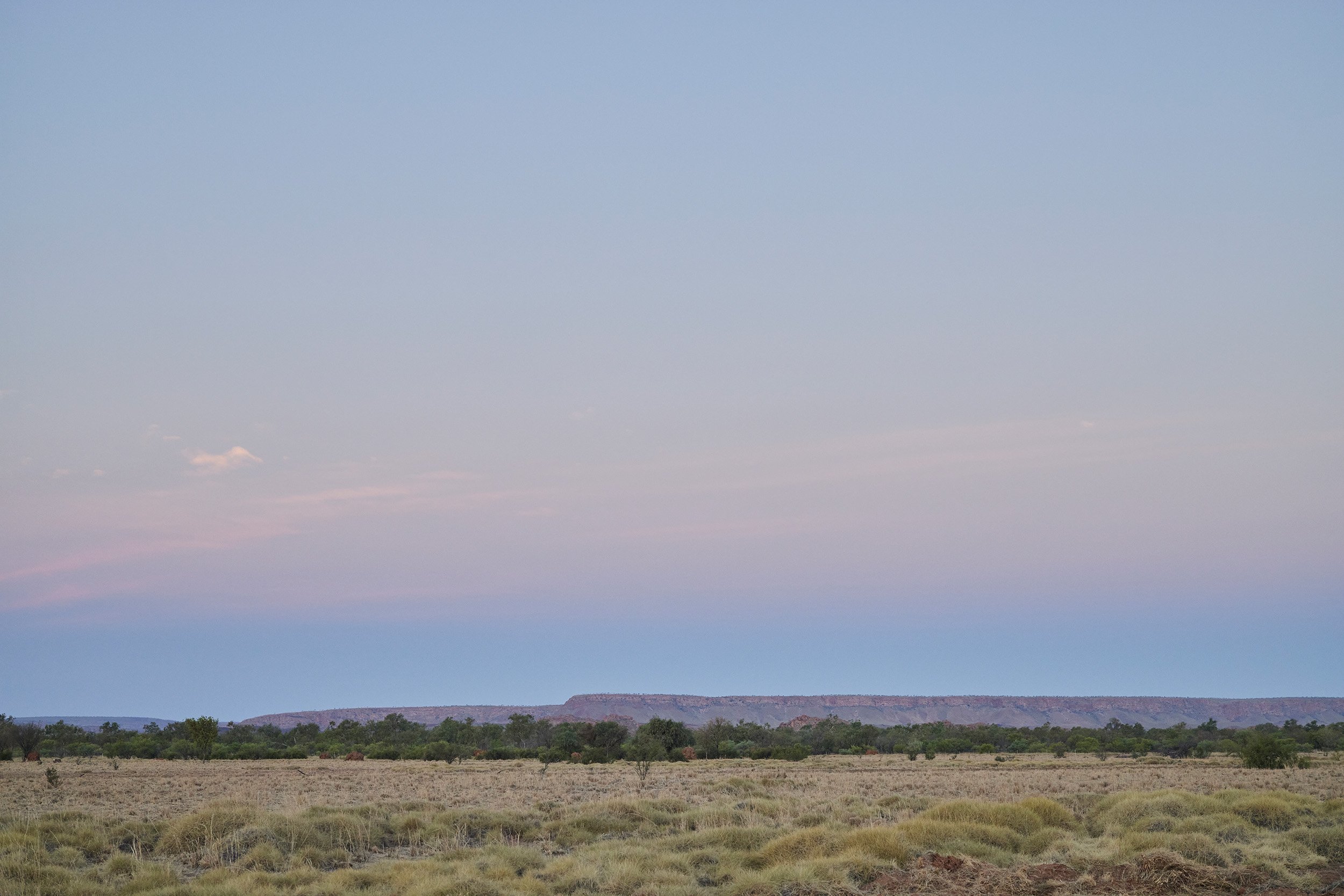 The landscape of Fitzroy Crossing, located in the Kimberley region of Western Australia, with vast pastel blue skies, rust coloured mountains in the distance, green trees and pale green and yellow grasses cover the ground.