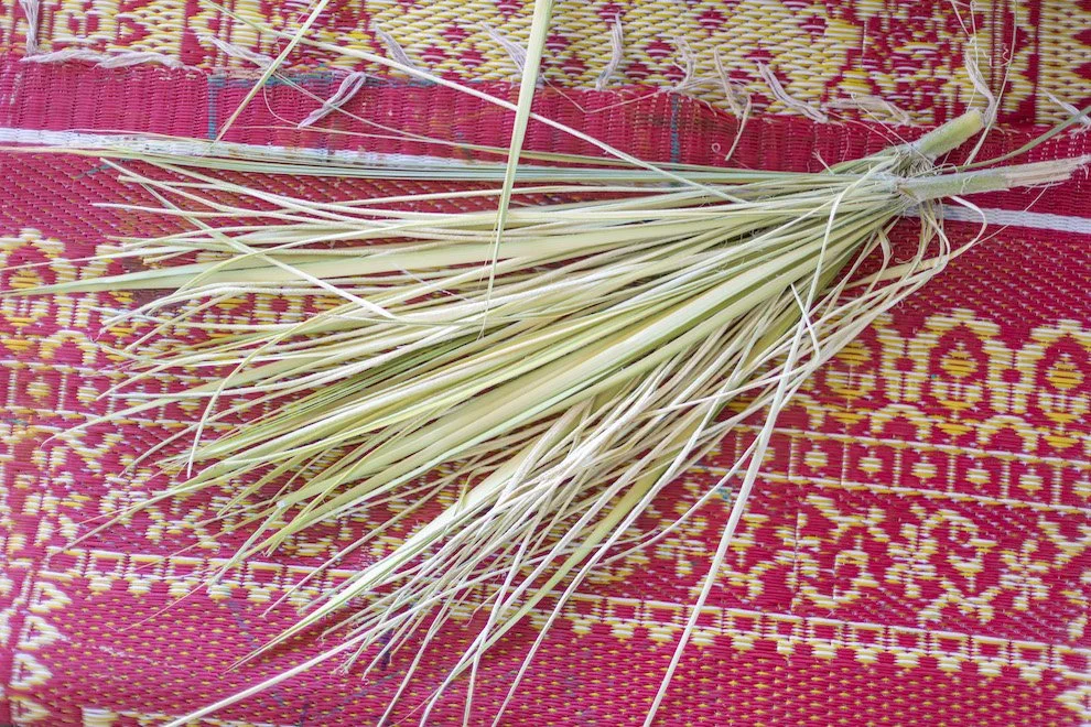 Palm leaves on patterned carpet.