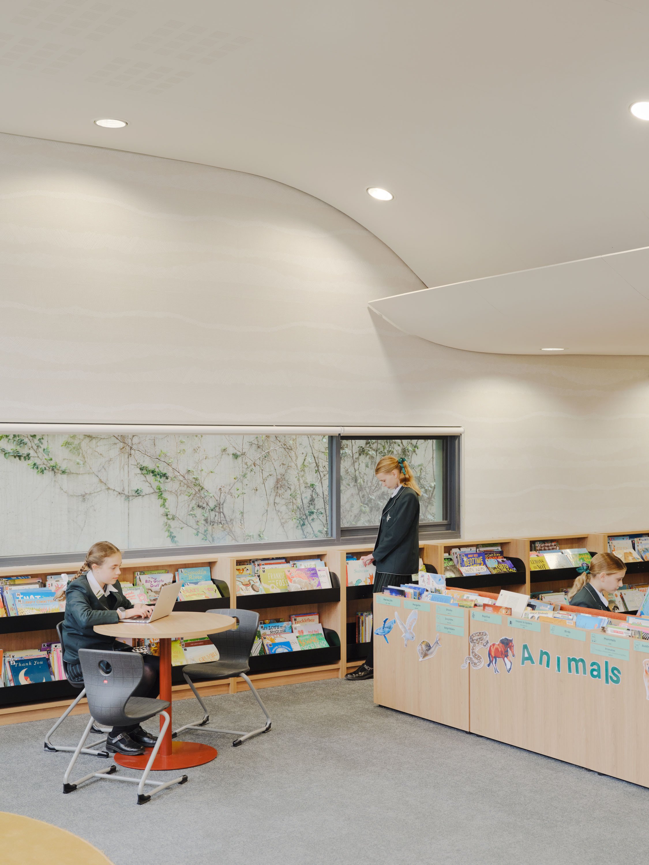The interior of the Methodist Ladies' College Junior School library, featuring modern architecture with curved ceiling panels, stone coloured patterned wallpaper and large windows overlooking a landscaped area.
