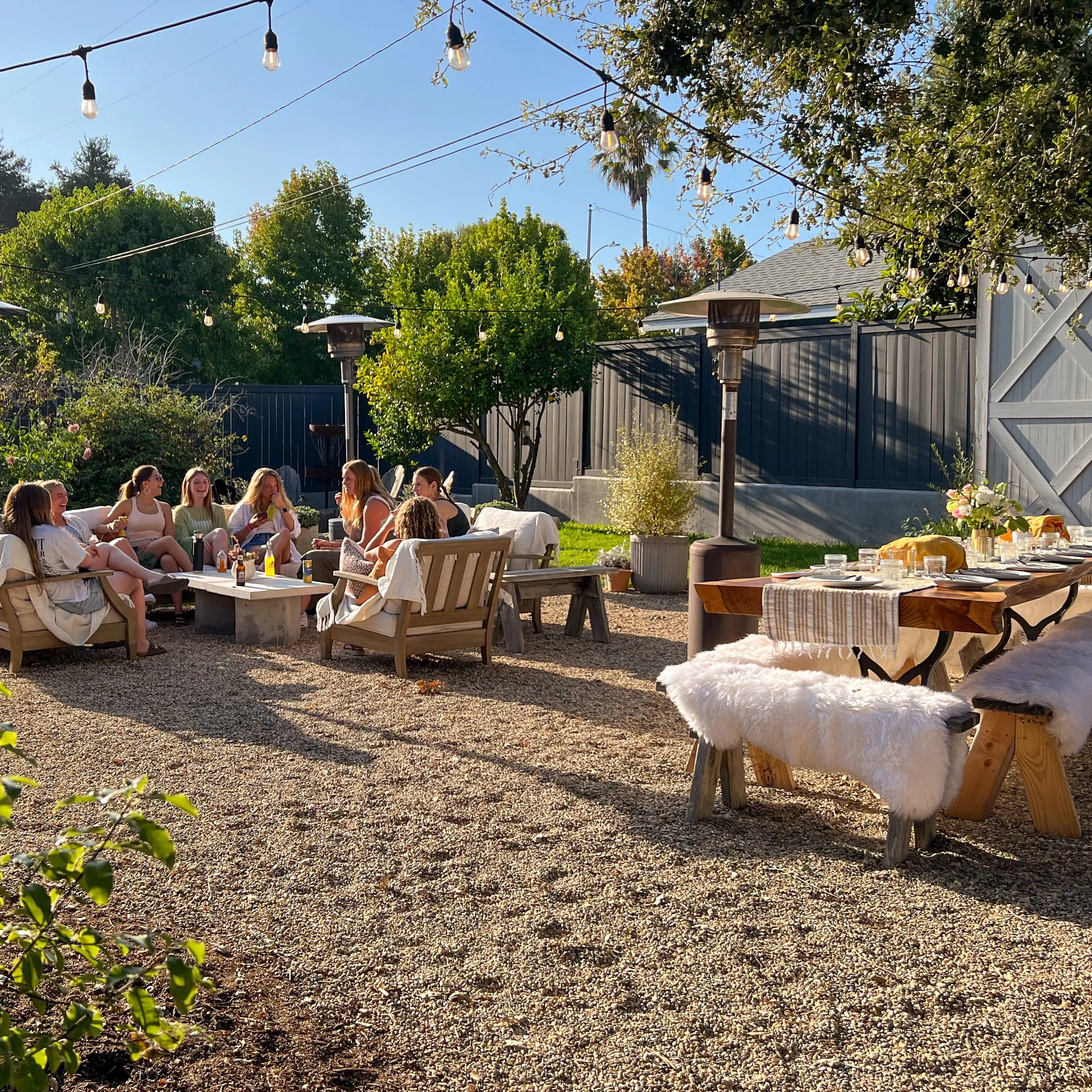 Backyard Beauties.jpg