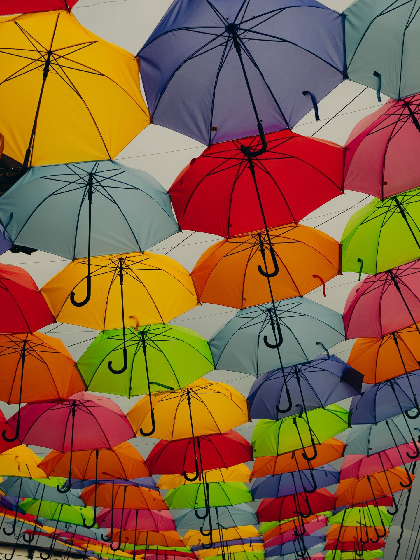 These unbrella&rsquo;s are everywhere in Colombia but they are such a mood ☂️🎨