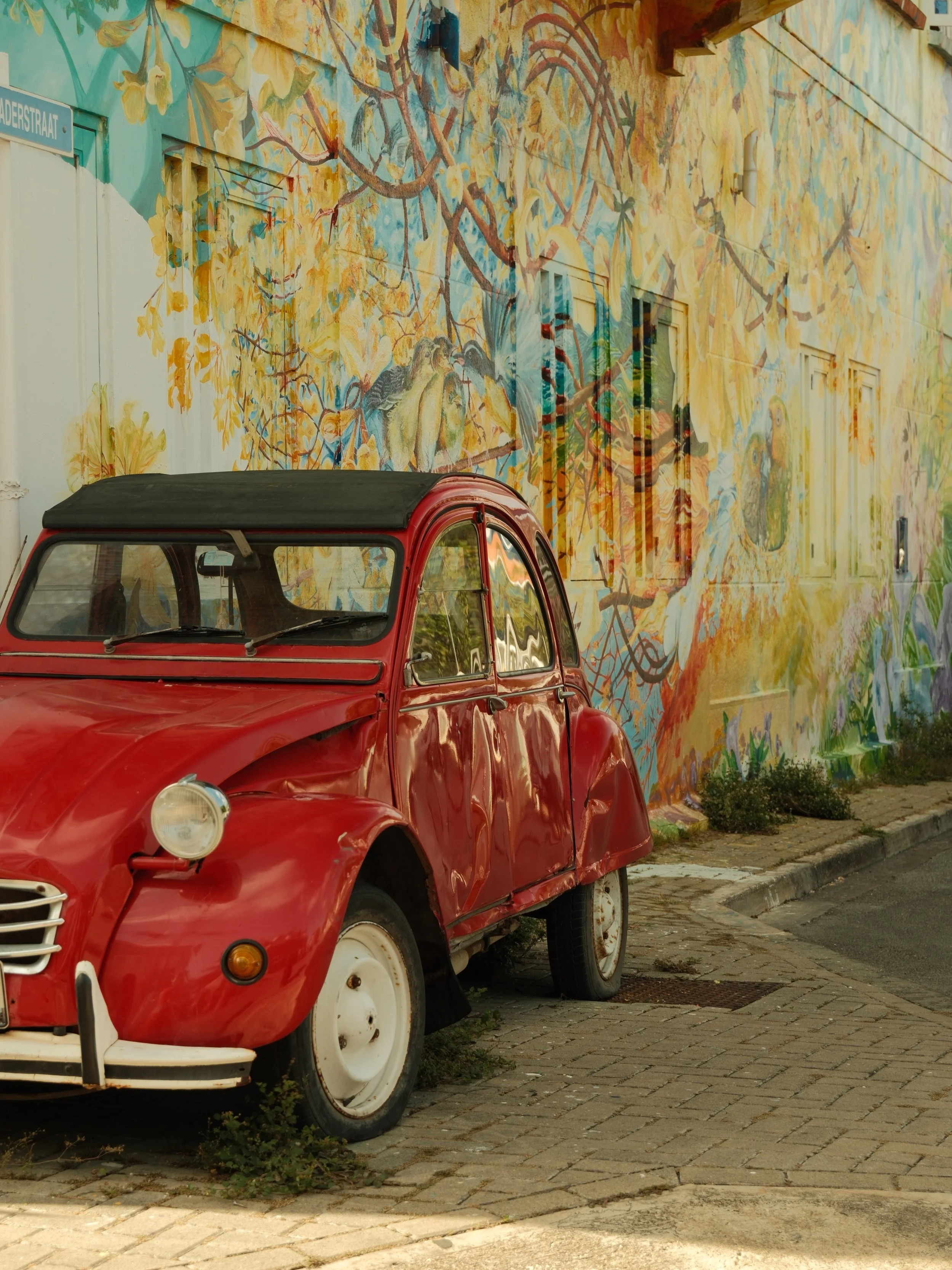 One from my recent trip to Curacao 🚗