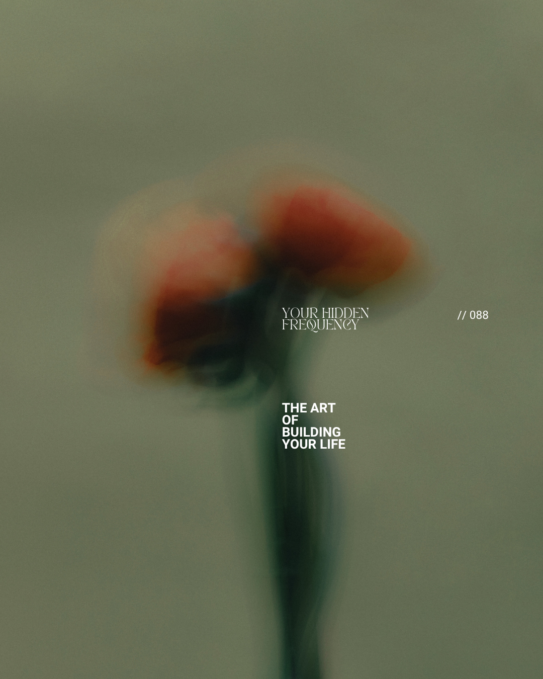 Blurred image of a flower with pinkish-orange petals and a green stem, with overlaid white text reading 'Your Hidden Frequency // 088 The Art of Building Your Life'.