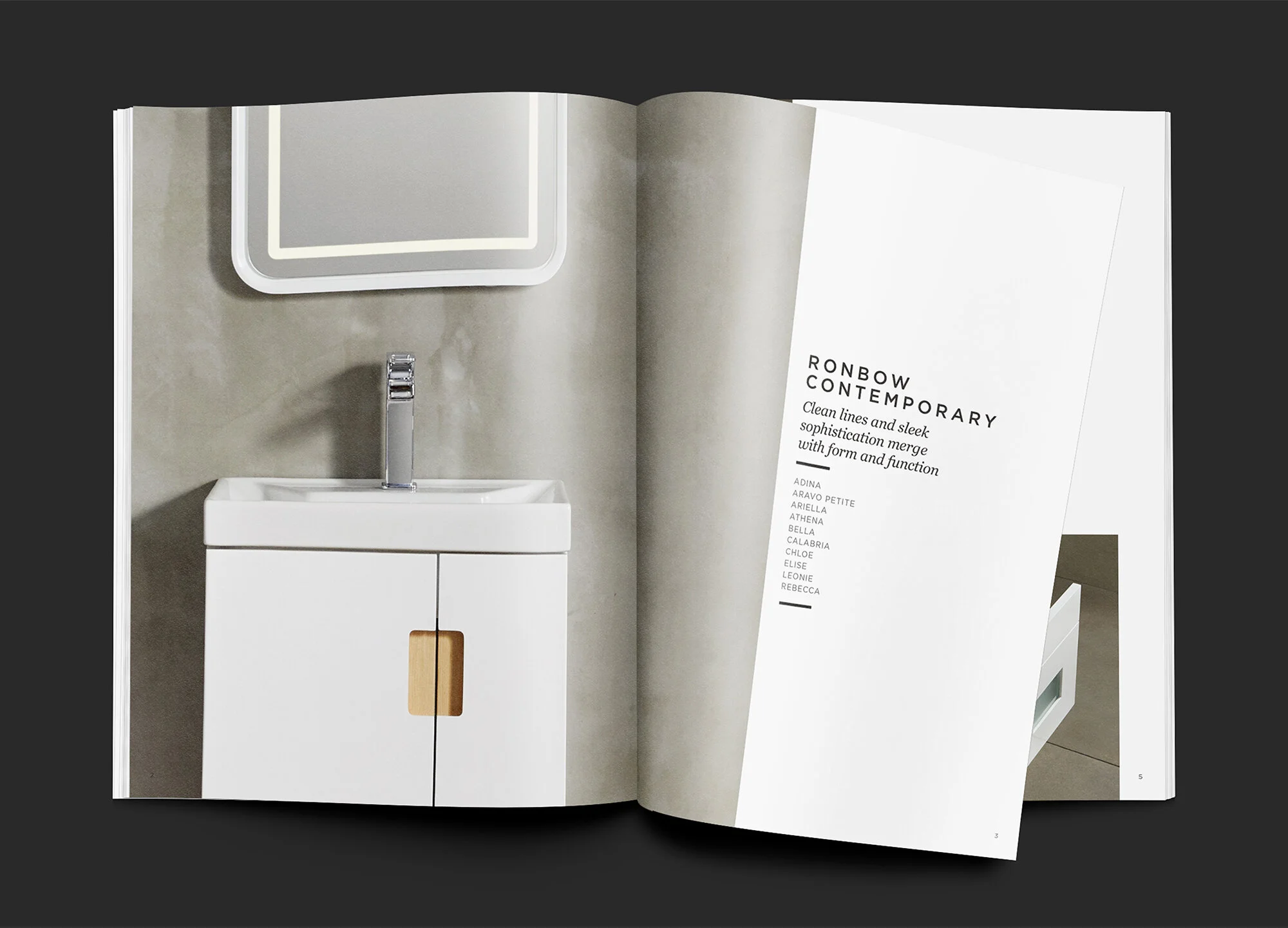 2 catalogs mock ups.jpg