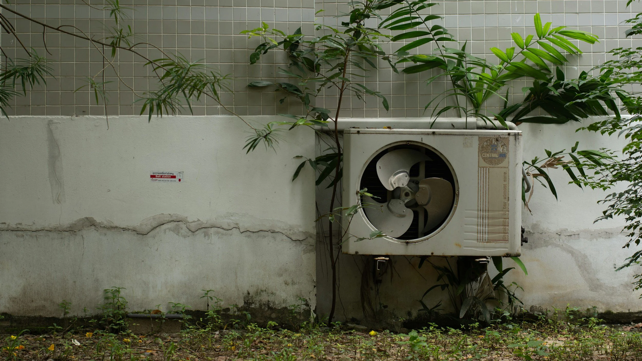 Old washing machine mounted on a wall outdoors, surrounded by green plants and vines, with peeling paint and a small sign on the wall.