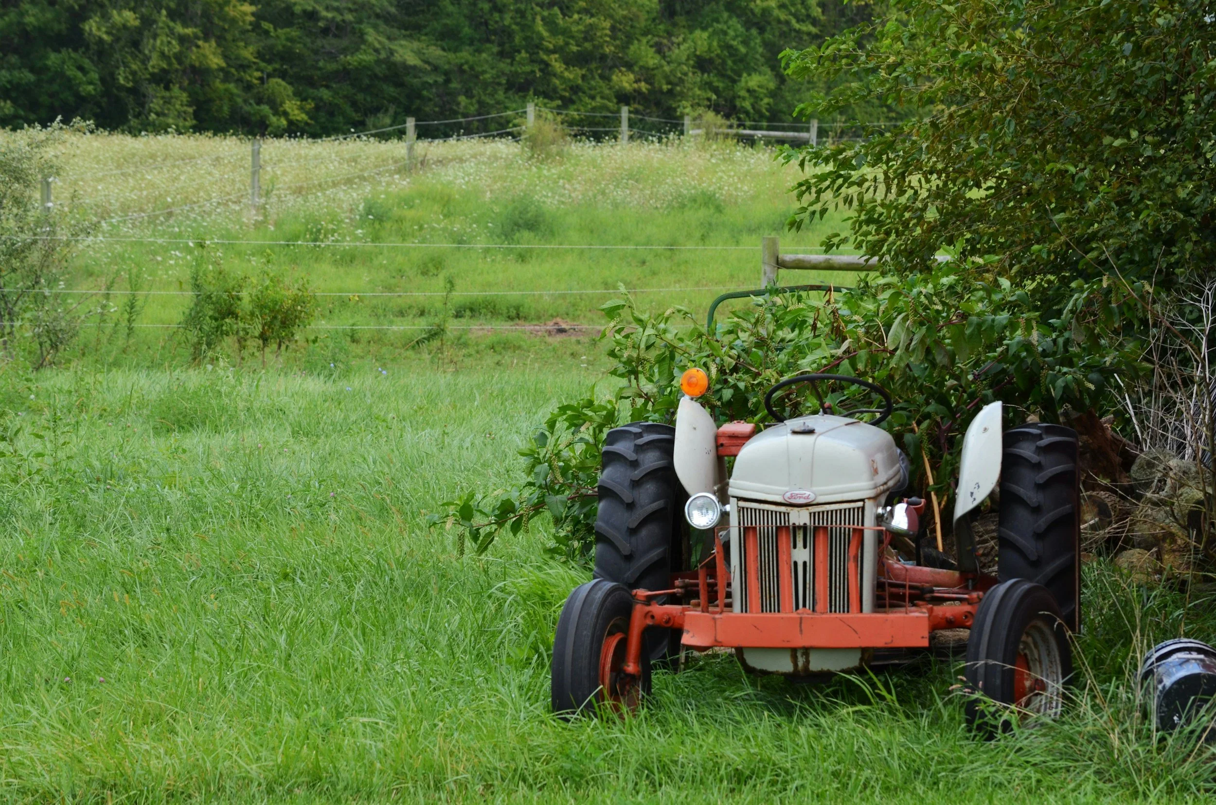 BUSH HOGGING