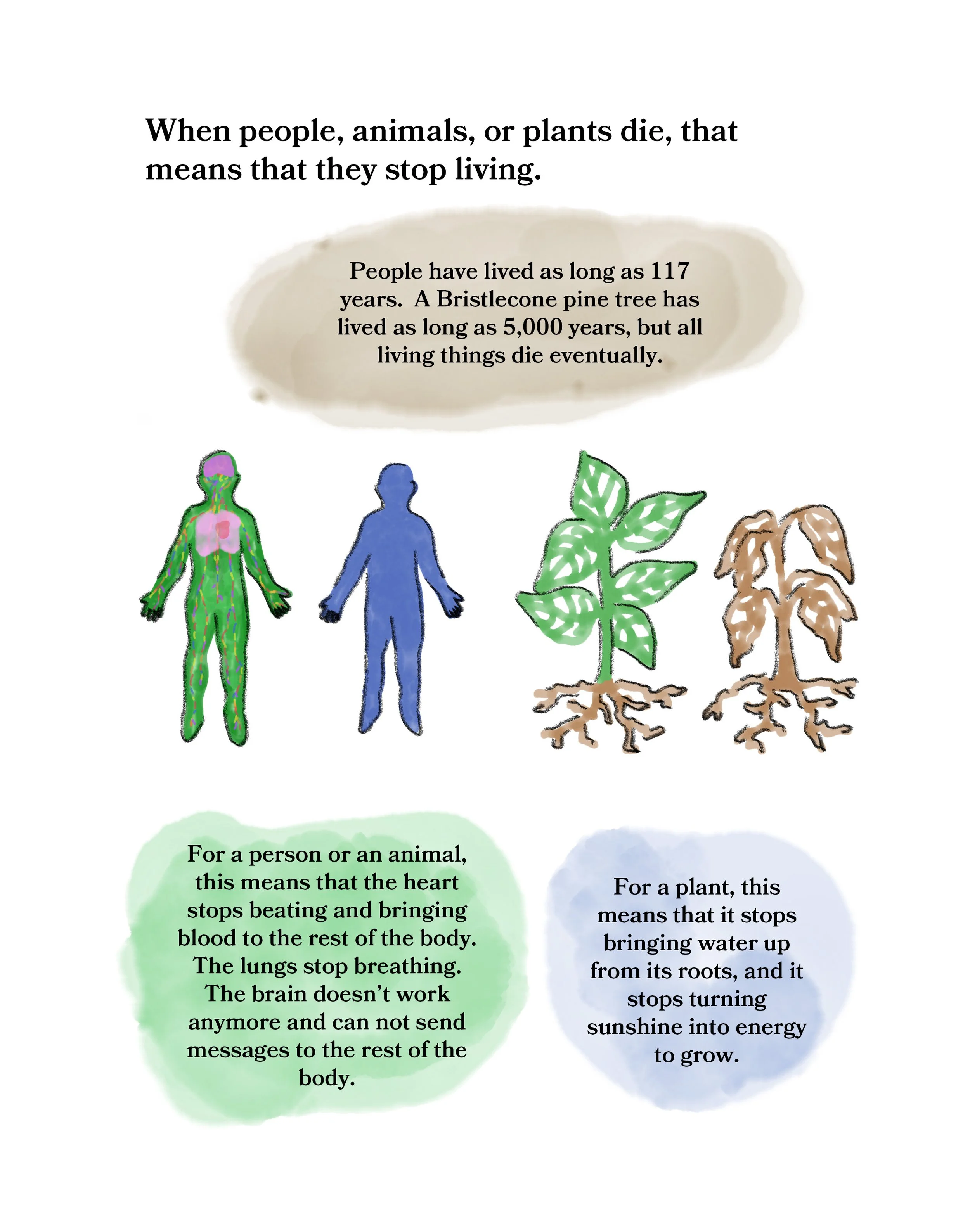 When Someone Dies Page 2 copy.jpg