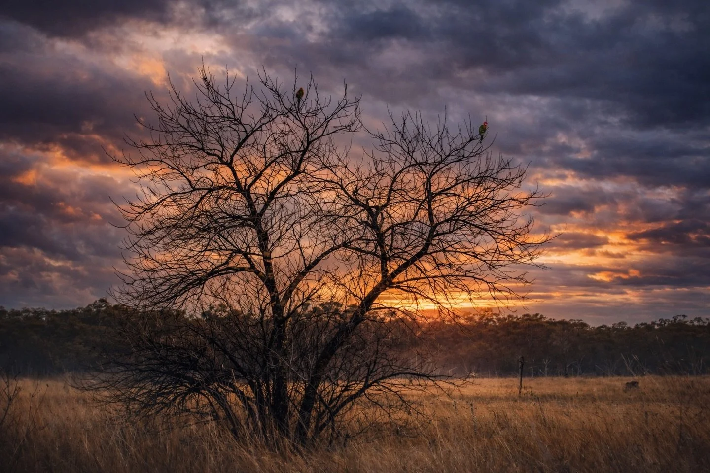 Not every chapter is loud.
Some are written slowly &mdash; in soil, in salt air, in patience.

We&rsquo;re still here.

&mdash; Salt, Soil &amp; Cellar
