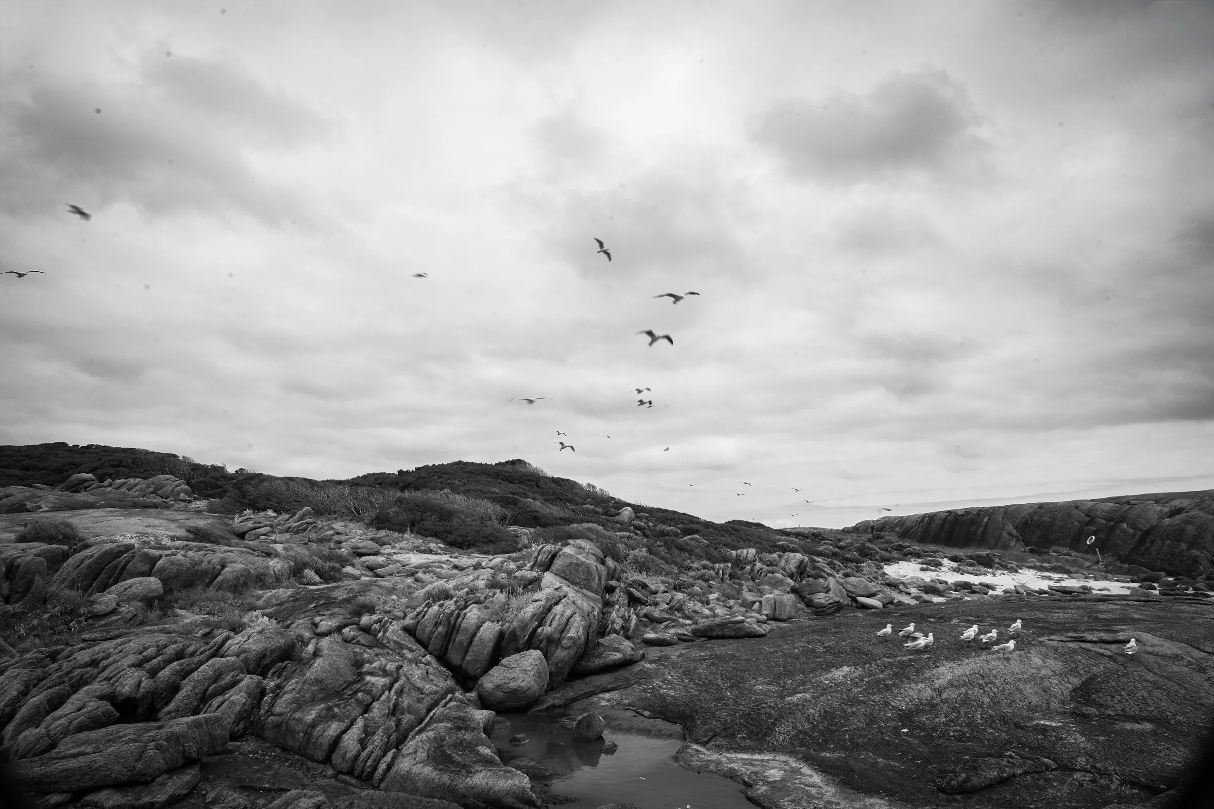 Augusta B_W Stills-06.JPG