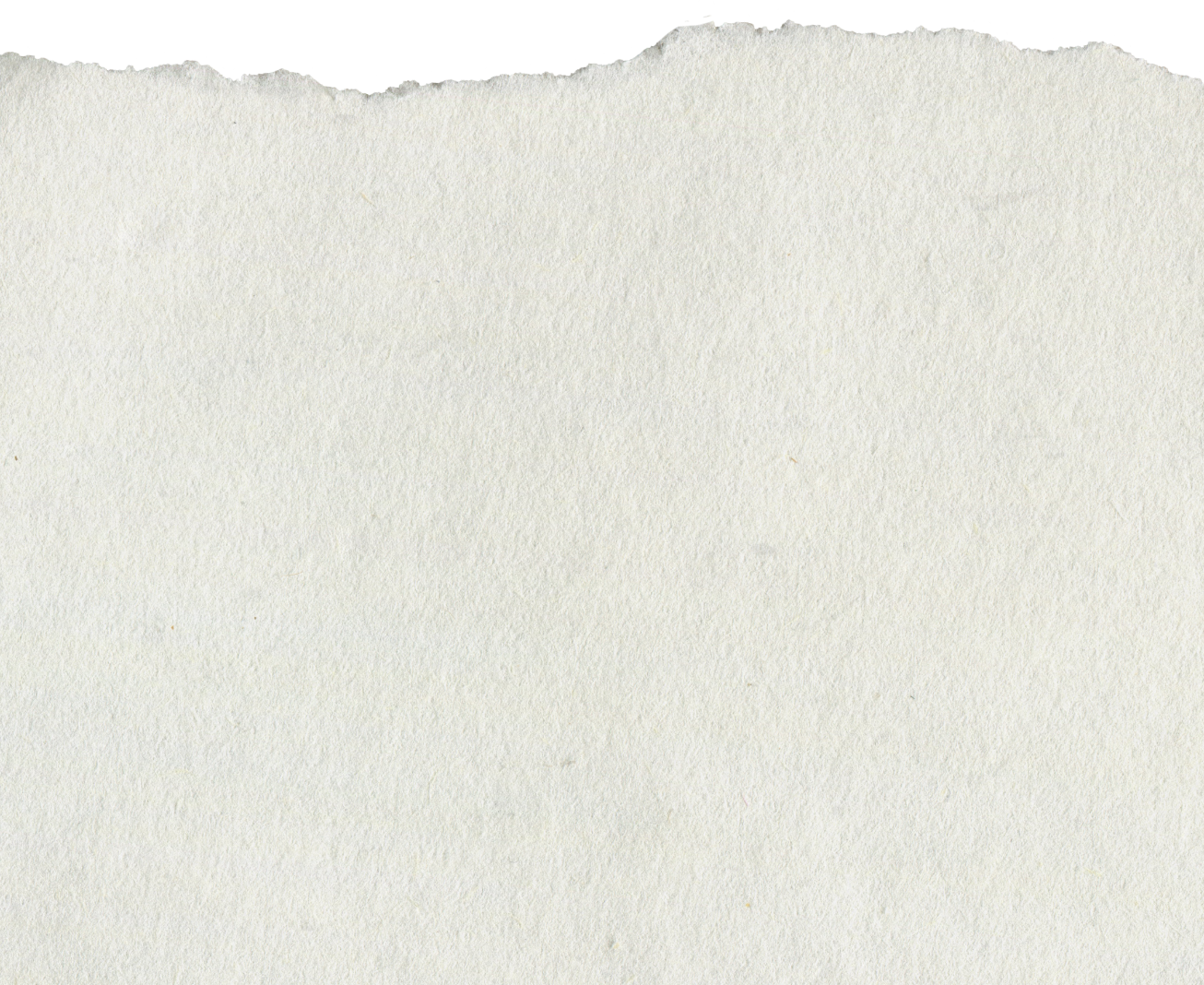 Close-up of torn and crumpled off-white textured paper with black torn edges at the top.