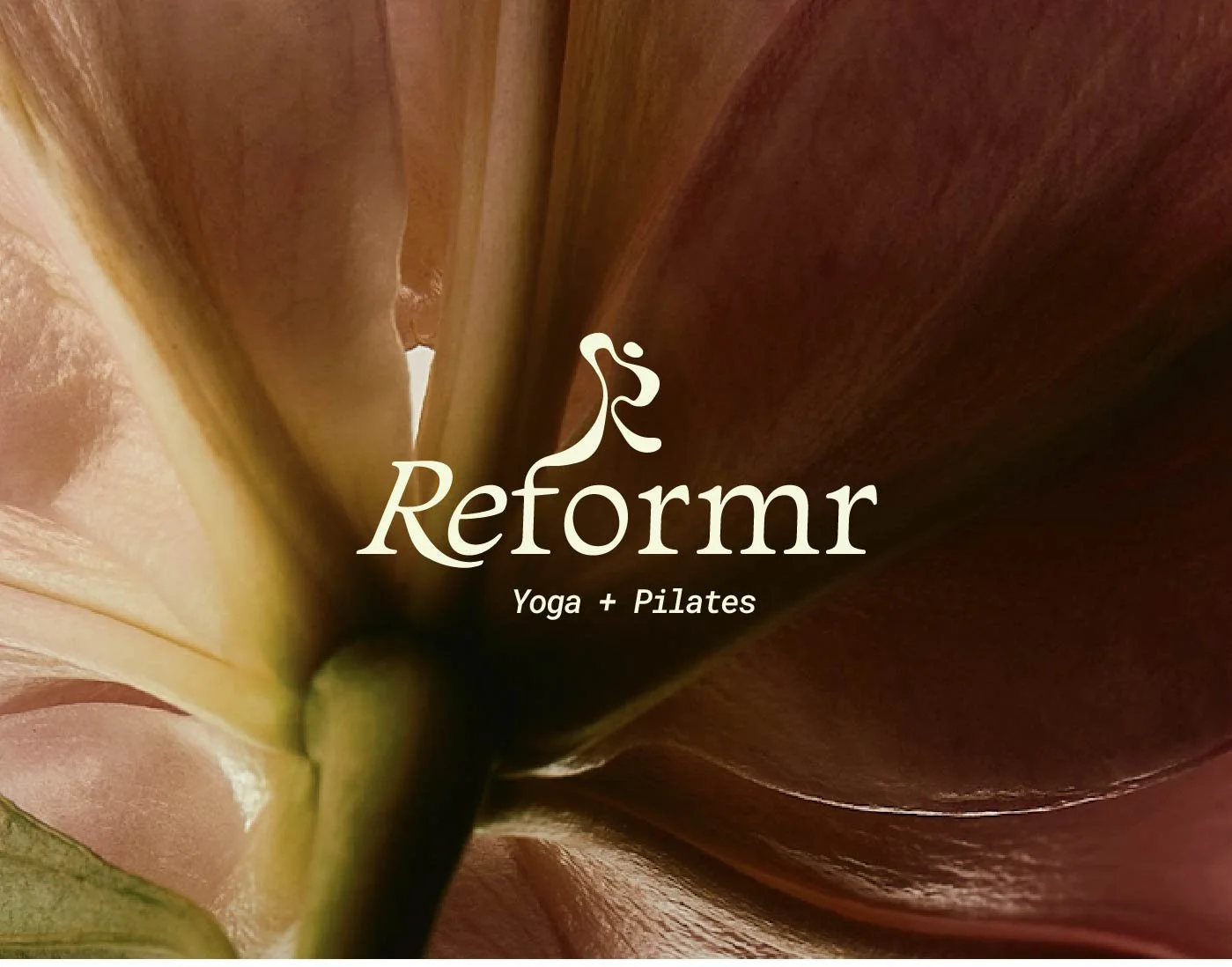 Reformr