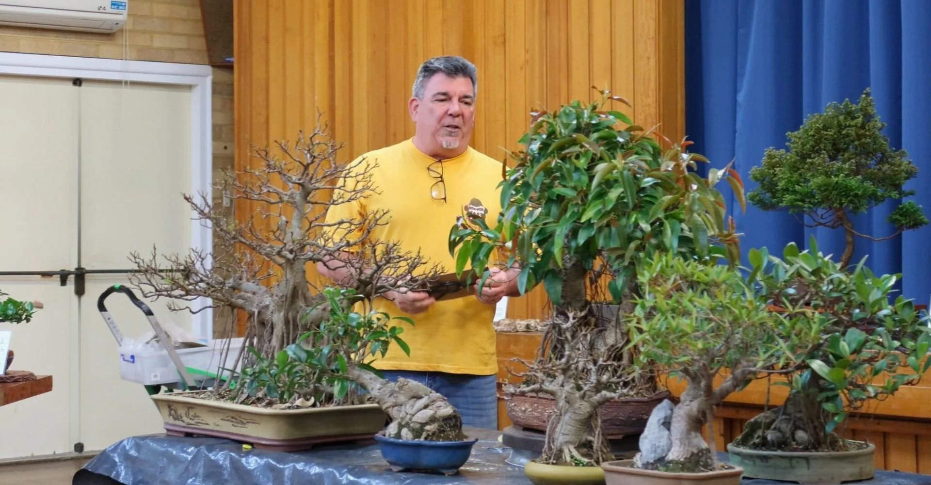 Membership Illawarra Bonsai Society
