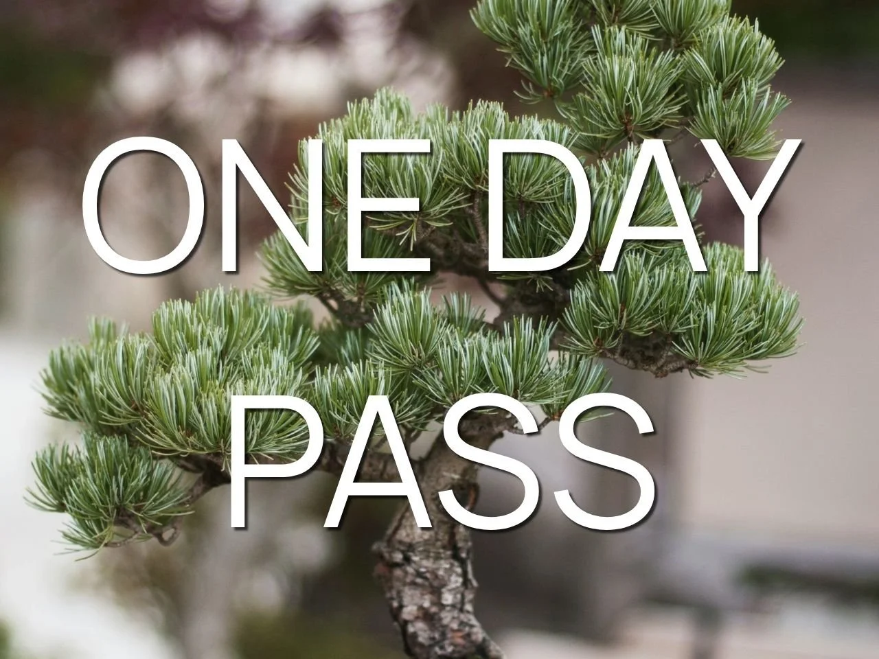 One Day Pass