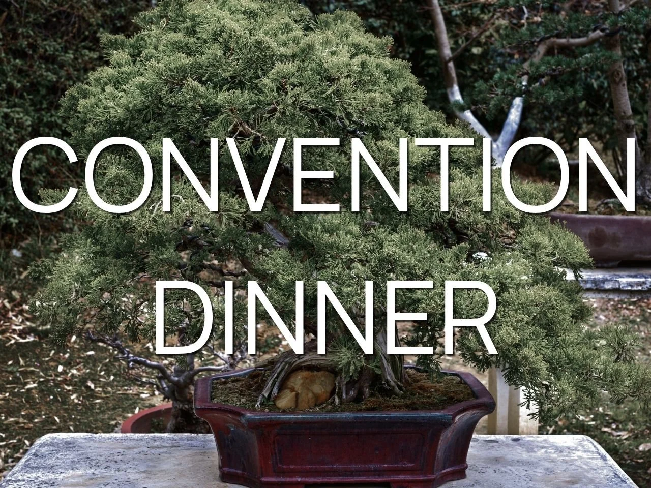 Convention Dinner Saturday Night