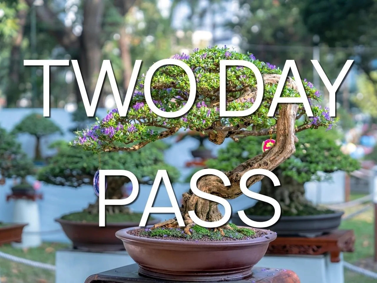 Two Day Pass