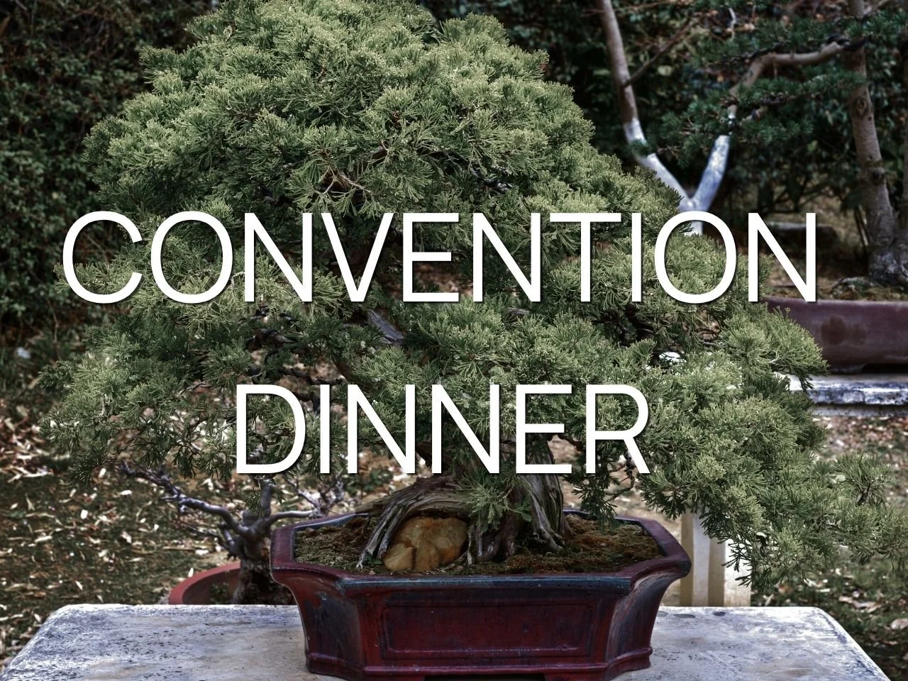 Convention Dinner Saturday Night