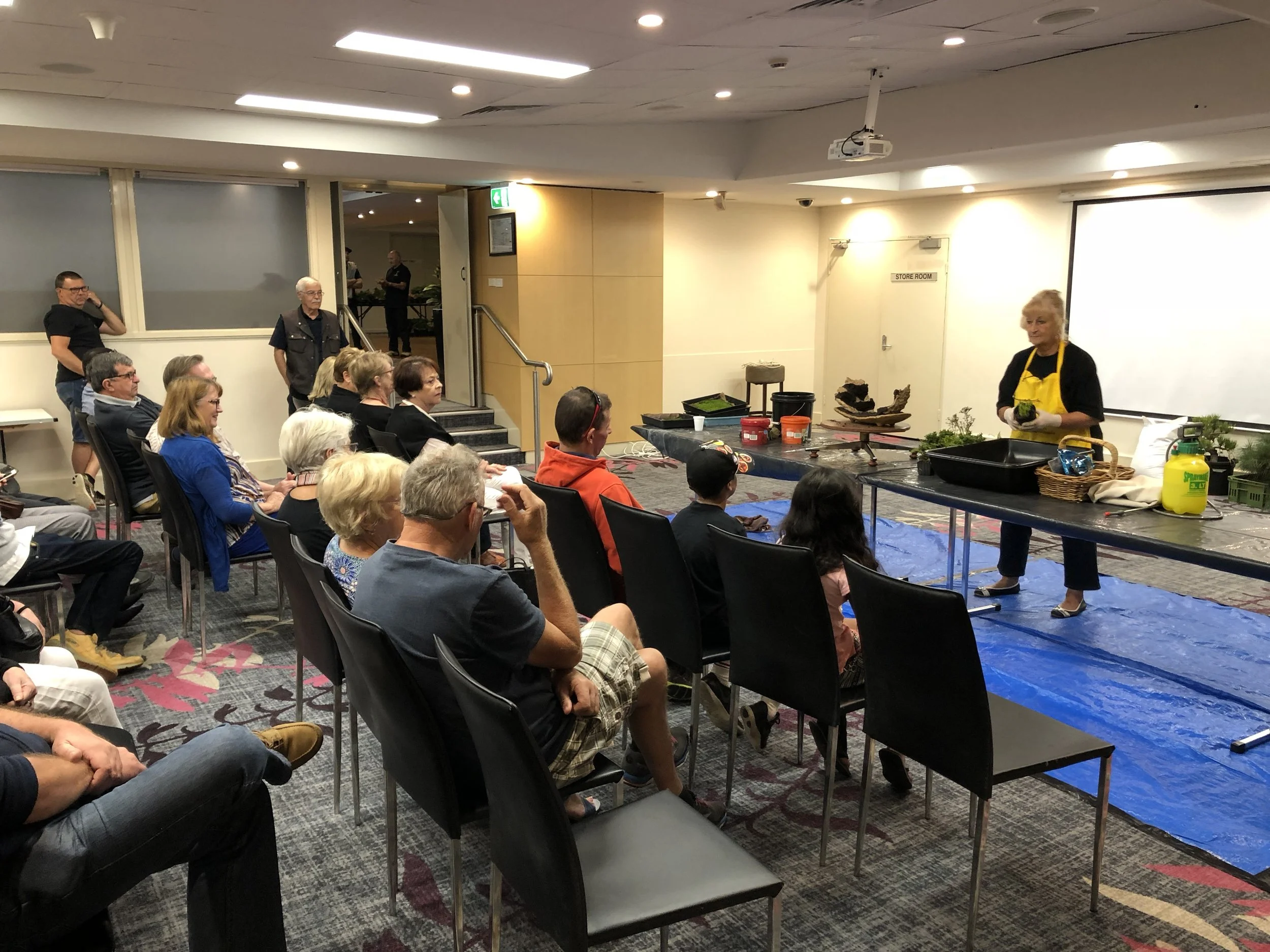 Concession family membership, Illawarra Bonsai Society, demonstration by Brenda Parker.