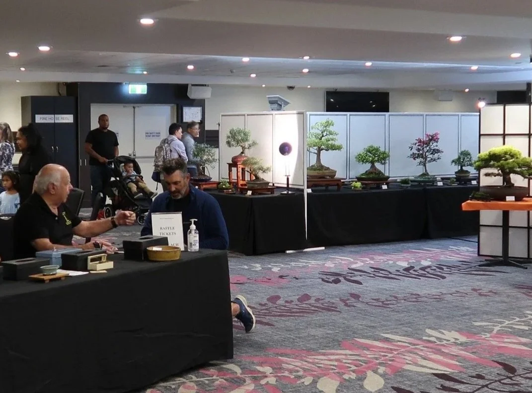 Annual Bonsai Show 2026 in Sutherland Shire Illawarra Bonsai Society