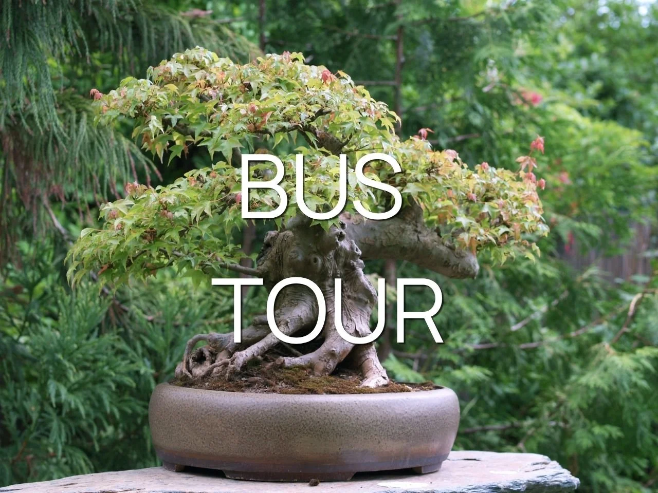 Friday Bus Tour