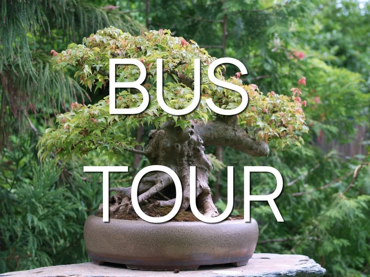 Friday Bus Tour