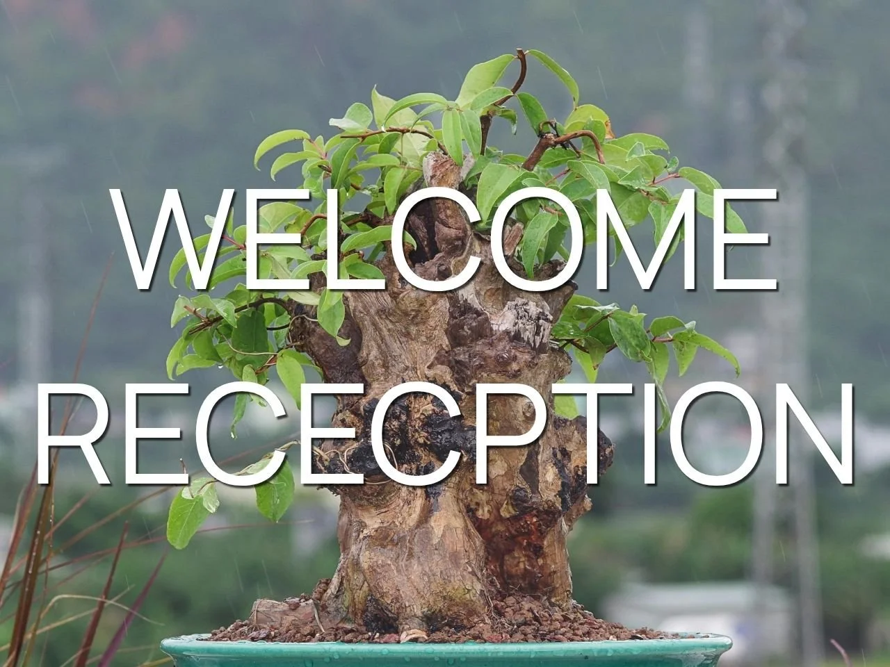 Welcome Reception Friday Night