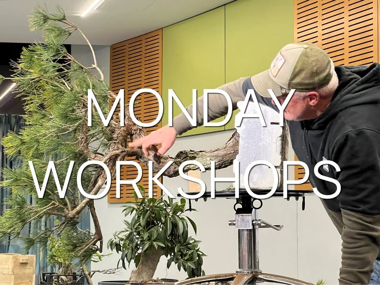 Monday Workshops