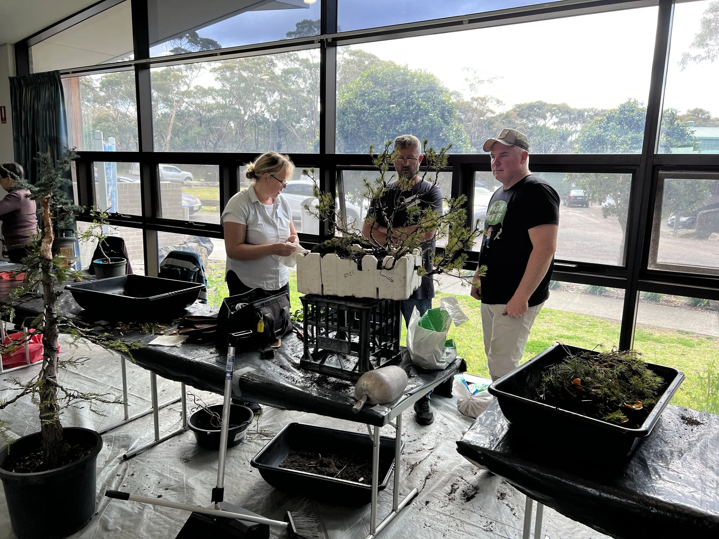 Family membership, Illawarra Bonsai Society three people learning about bonsai
