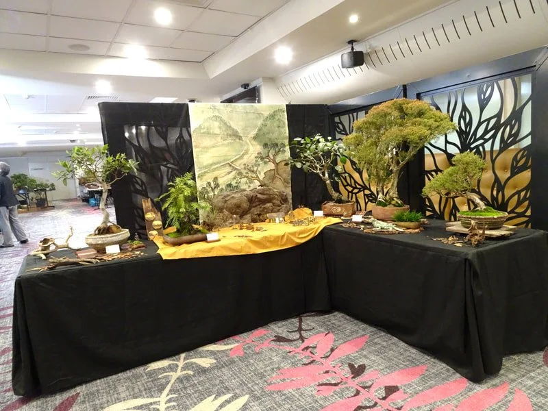 About US; Illawarra Bonsai Society