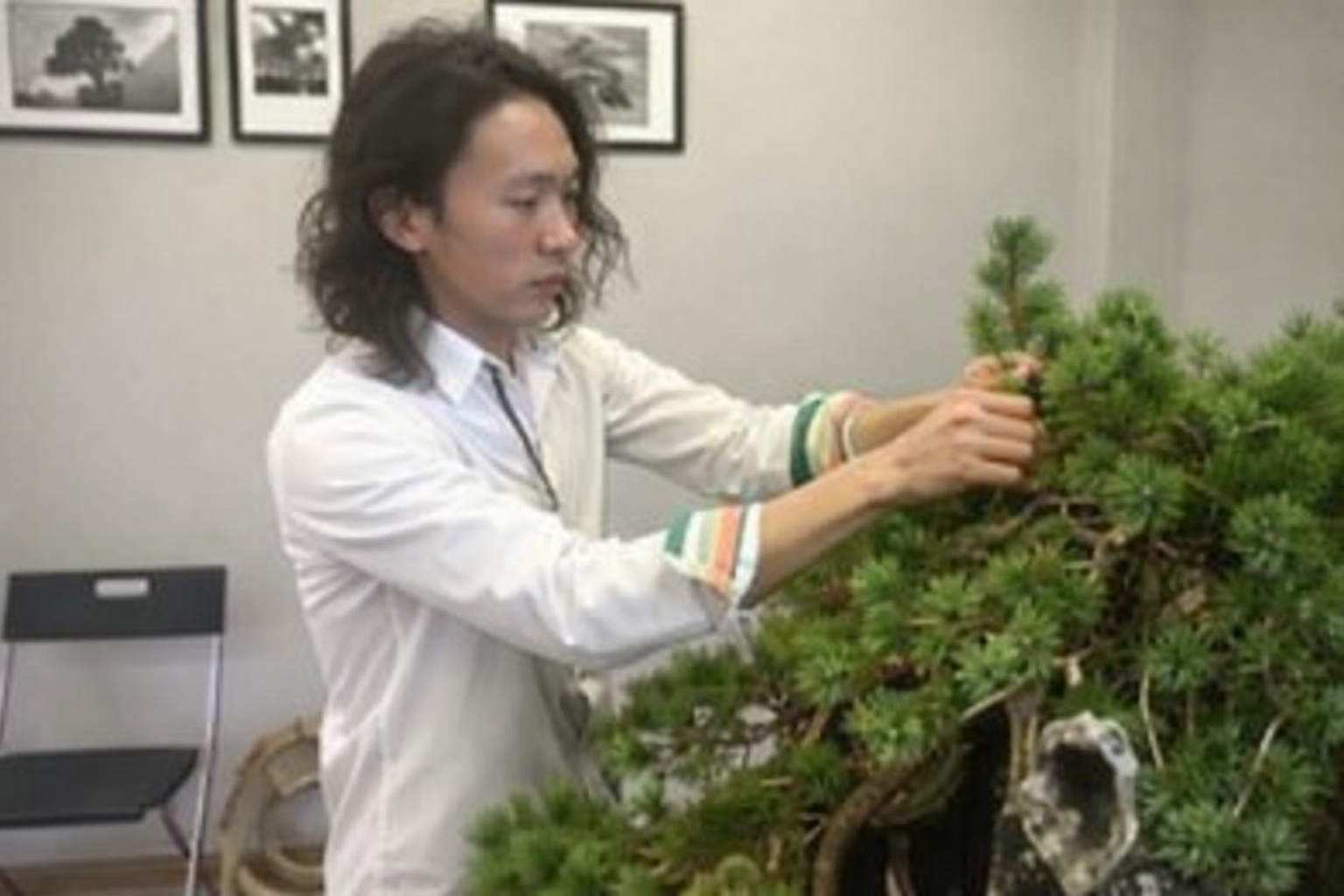 Hiroaki Suzuki 2027 Australian Bonsai Convention | Illawarra Bonsai Society