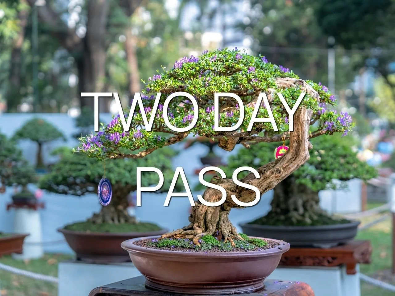 Two Day Pass