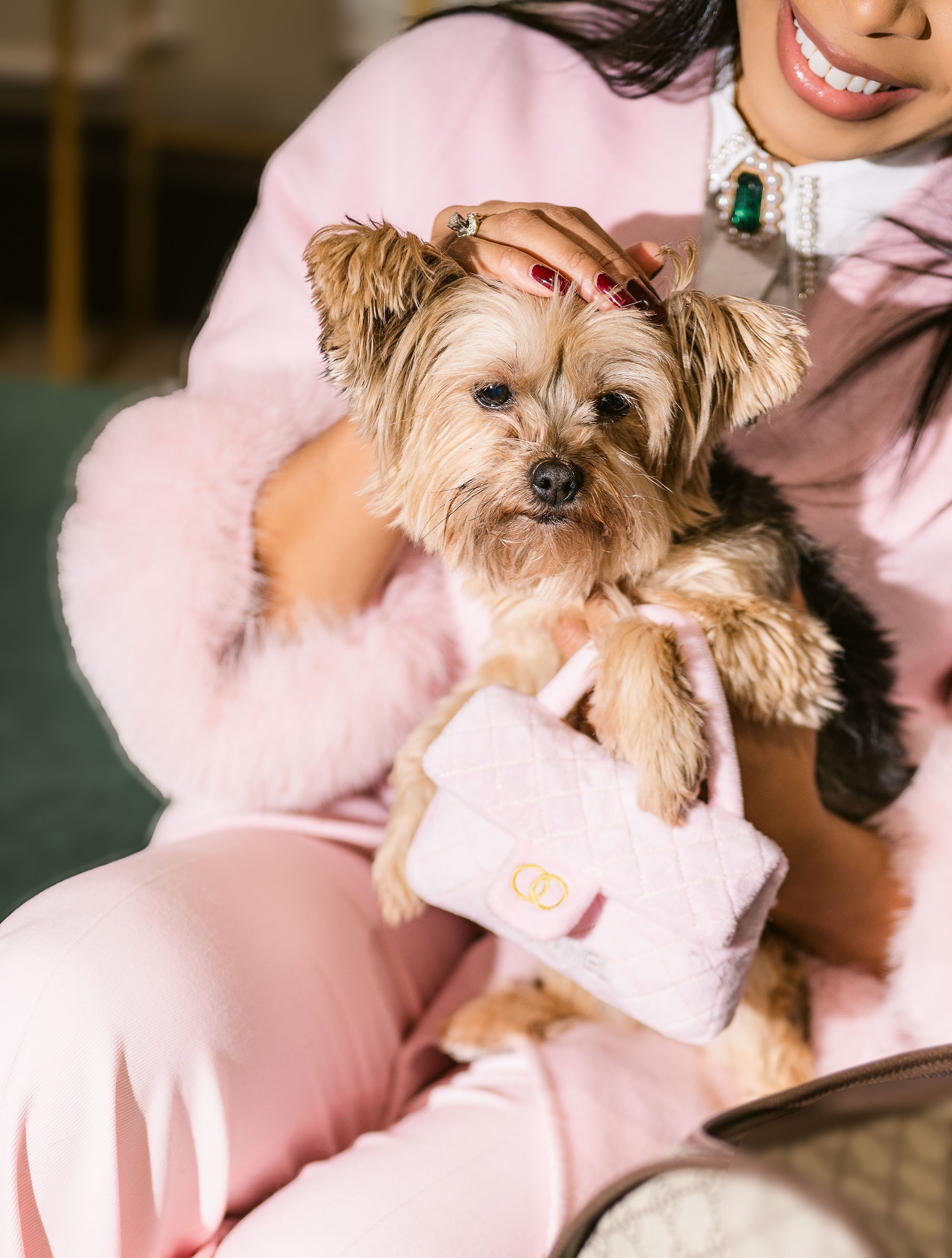 Person holding a small tan dog with fluffy fur, wearing a pink jacket, with a white quilted bag in their lap.