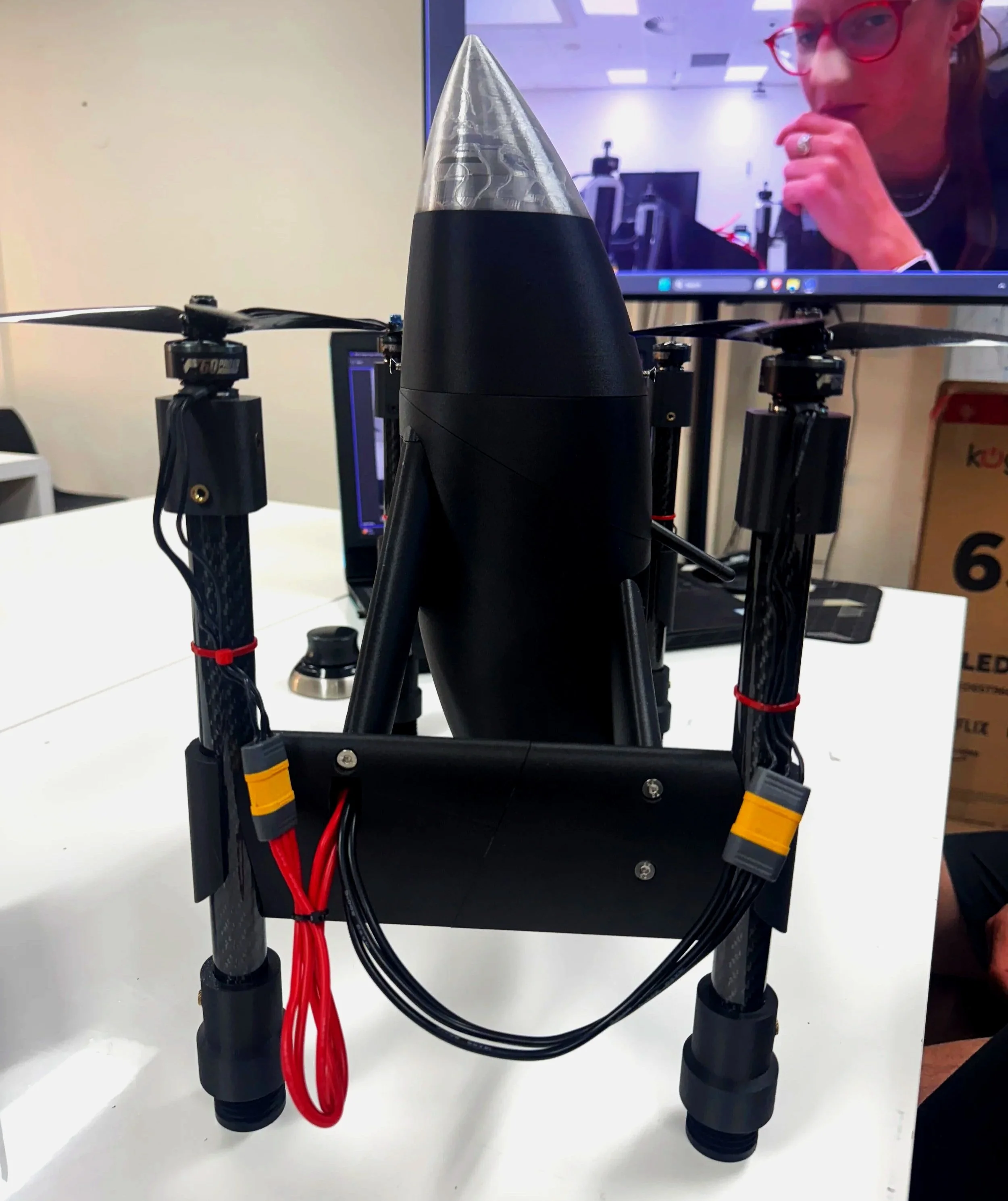 Lorikeet_side_profile